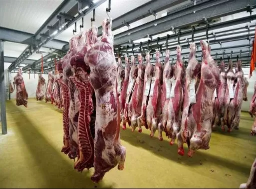 مدار الساعة,Video,فيديو,أخبار عربية ودولية