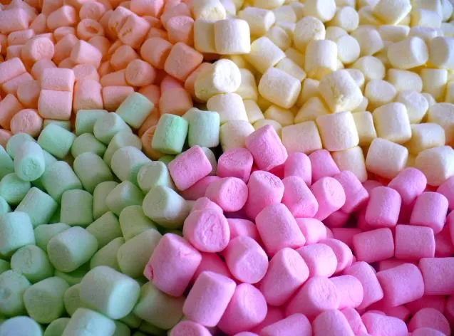 مدار الساعة,أخبار خفيفة ومنوعة