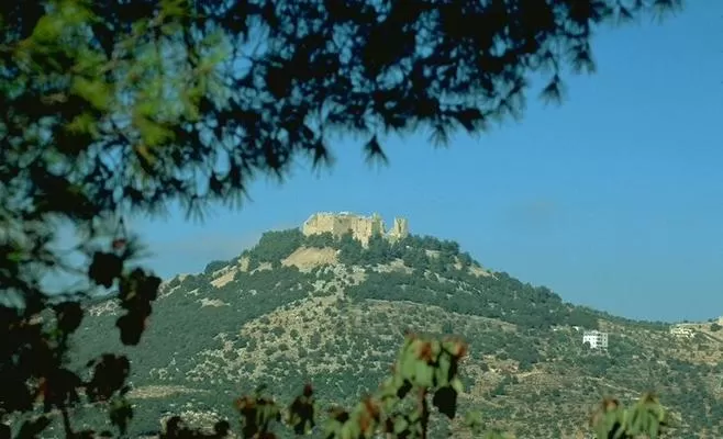 مدار الساعة,أخبار الأردن,اخبار الاردن