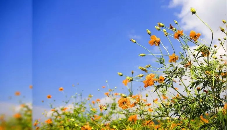 مدار الساعة,الطقس في الأردن اليوم,طقس الأردن,طقس العرب,طقس العرب الاردن,درجات الحرارة,البحر الميت