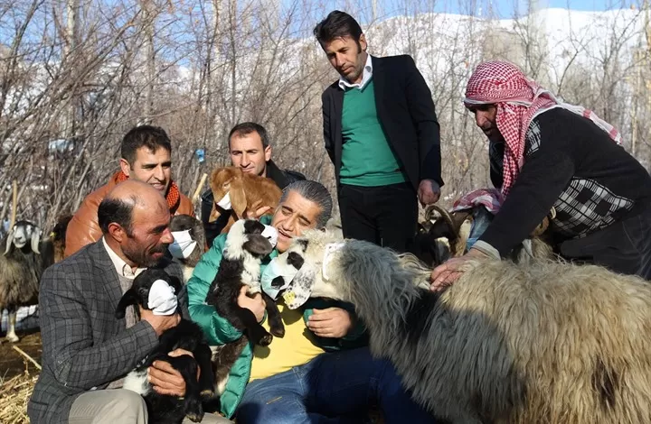 مدار الساعة,أخبار خفيفة ومنوعة