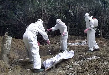 مدار الساعة,أخبار خفيفة ومنوعة,منظمة الصحة العالمية