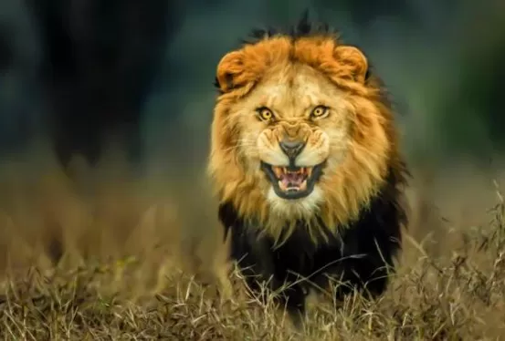 مدار الساعة,أخبار خفيفة ومنوعة