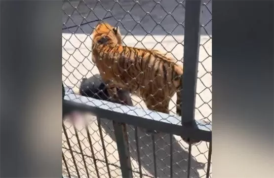 مدار الساعة,Video,فيديو,أخبار خفيفة ومنوعة