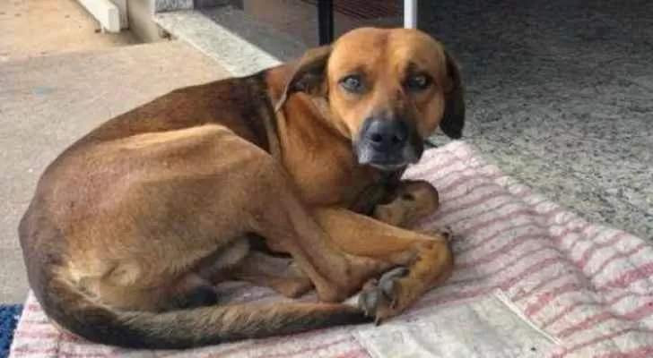 مدار الساعة,أخبار خفيفة ومنوعة