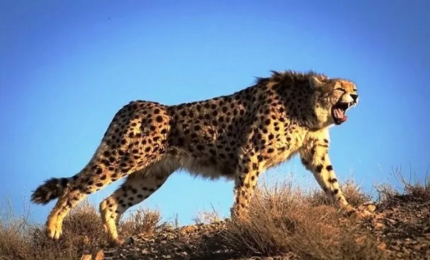 مدار الساعة,أخبار خفيفة ومنوعة