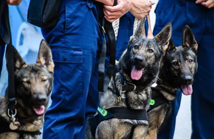 مدار الساعة,أخبار خفيفة ومنوعة