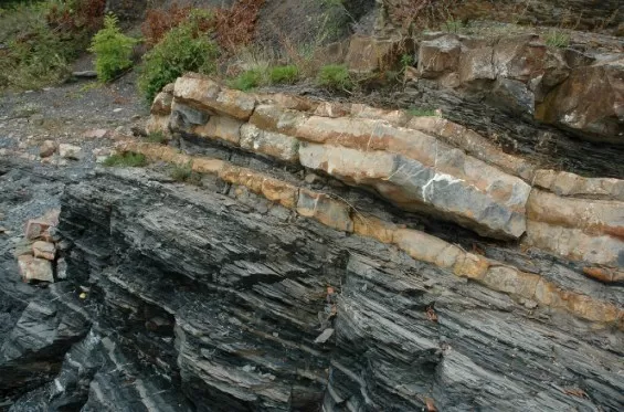 مدار الساعة,أخبار اقتصادية,وزير الطاقة والثروة المعدنية,الدكتور صالح الخرابشة,الملكية الأردنية