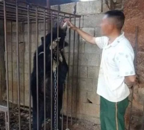 مدار الساعة,أخبار خفيفة ومنوعة