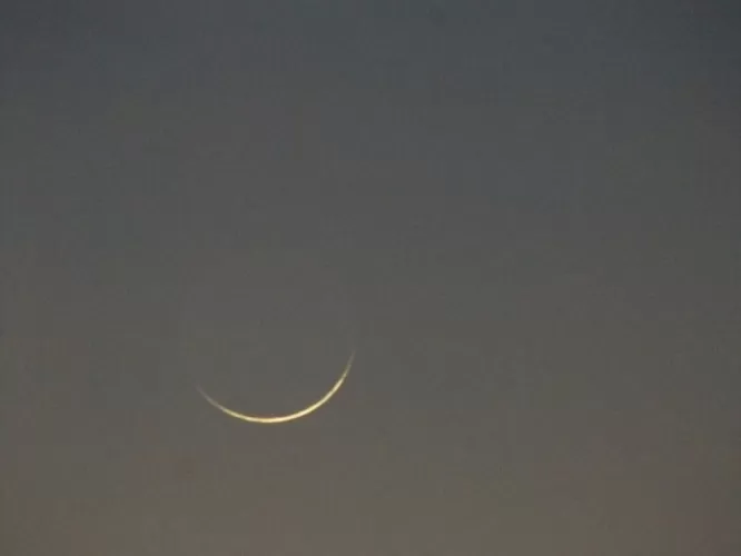 مدار الساعة,أخبار خفيفة ومنوعة,الدكتور محمد الخلايلة,مفتي عام المملكة,محمد الخلايلة