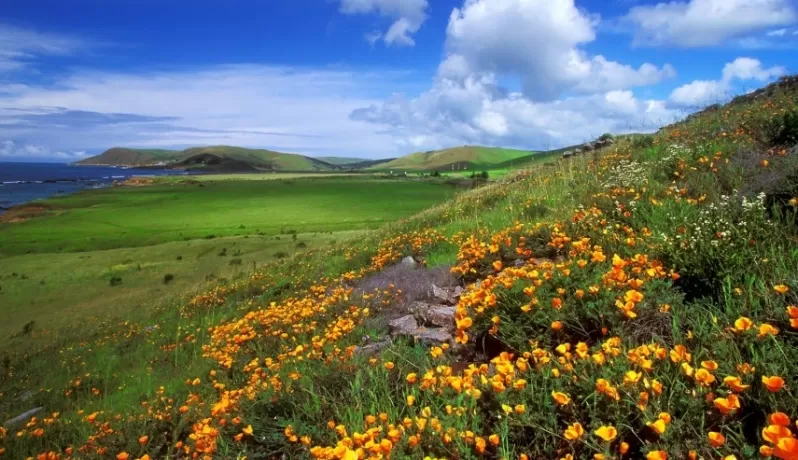 مدار الساعة,الطقس في الأردن اليوم,طقس الأردن,طقس العرب,طقس العرب الاردن,درجات الحرارة العظمى والصغرى,درجات الحرارة