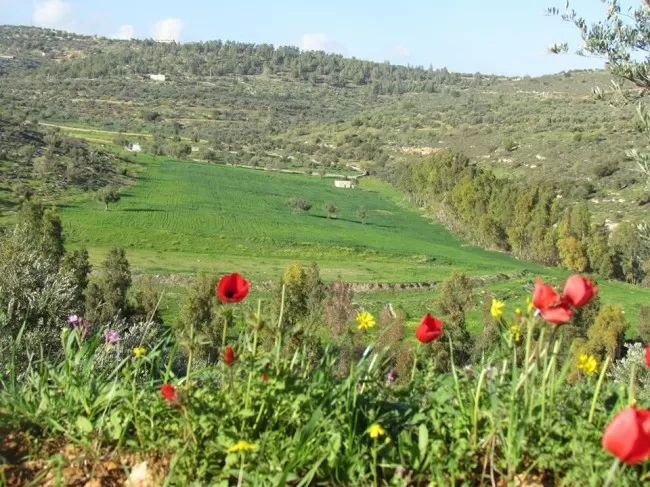 مدار الساعة,الطقس في الأردن اليوم,طقس الأردن,طقس العرب,طقس العرب الاردن,درجات الحرارة,البحر الميت