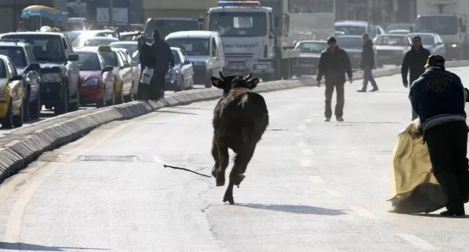 مدار الساعة,أخبار الأردن,اخبار الاردن