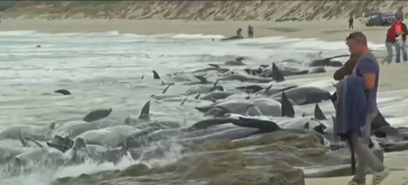 مدار الساعة,Video,فيديو,أخبار خفيفة ومنوعة