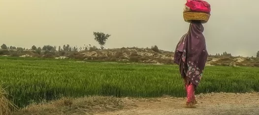 مدار الساعة,أخبار خفيفة ومنوعة