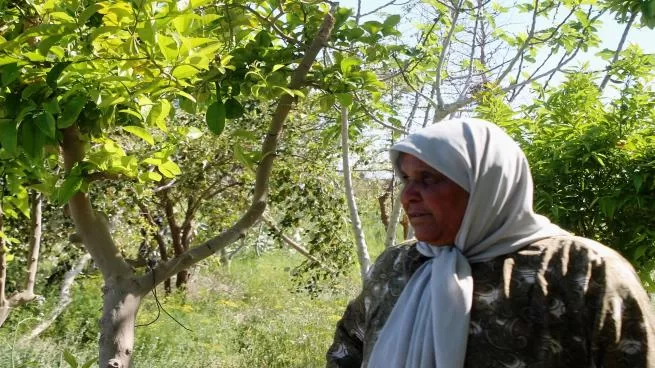 مدار الساعة,أخبار خفيفة ومنوعة