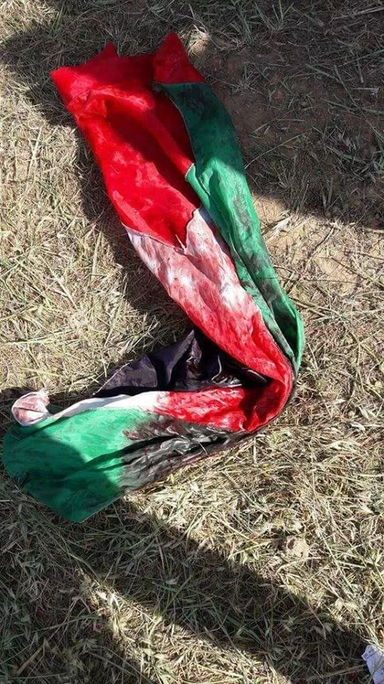 مدار الساعة,مقالات