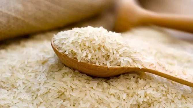 مدار الساعة,أخبار الأردن,اخبار الاردن,وزارة الزراعة,الجمعية العلمية الملكية