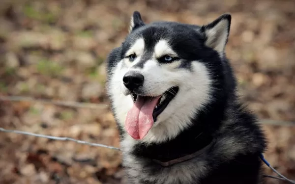 مدار الساعة,أخبار خفيفة ومنوعة