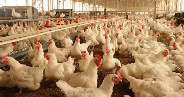 مدار الساعة,أخبار الأردن,اخبار الاردن,الدفاع المدني