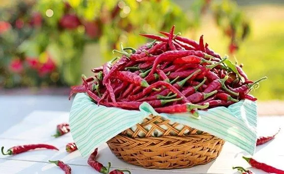 مدار الساعة,أخبار خفيفة ومنوعة