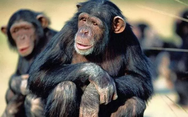 مدار الساعة,أخبار خفيفة ومنوعة