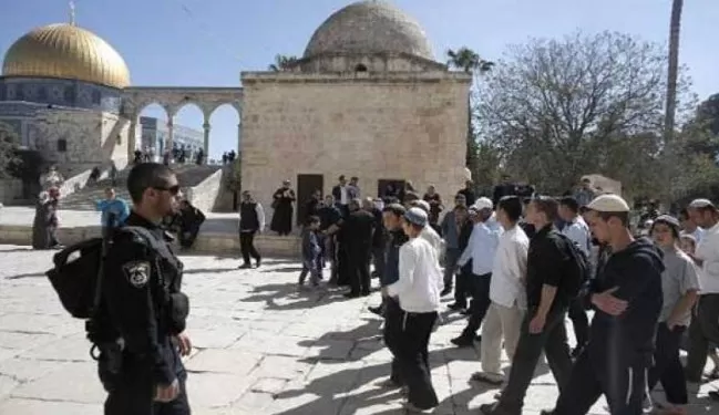 مدار الساعة,أخبار عربية ودولية,المسجد الأقصى