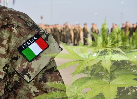 مدار الساعة,أخبار عربية ودولية,رئيس الوزراء,رئاسة الوزراء