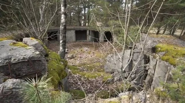 مدار الساعة,Video,فيديو,أخبار خفيفة ومنوعة