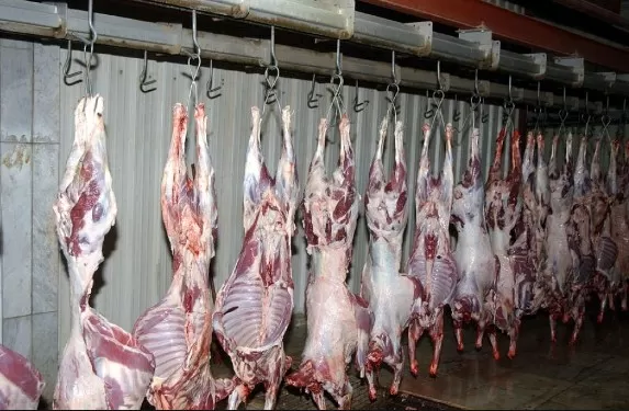 مدار الساعة,أخبار اقتصادية,أمانة عمان