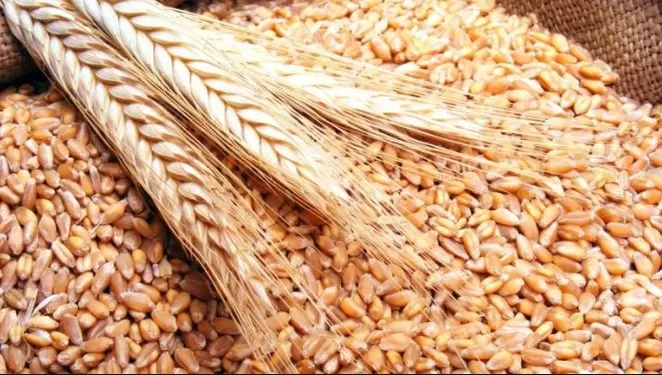 مدار الساعة,أخبار اقتصادية