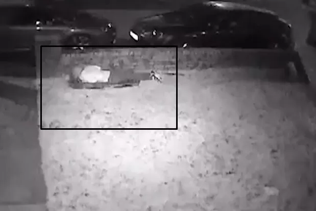 مدار الساعة,Video,فيديو,أخبار خفيفة ومنوعة