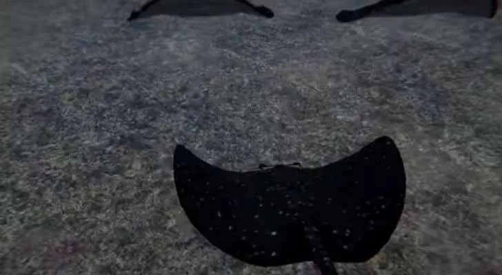 مدار الساعة,Video,فيديو,أخبار خفيفة ومنوعة