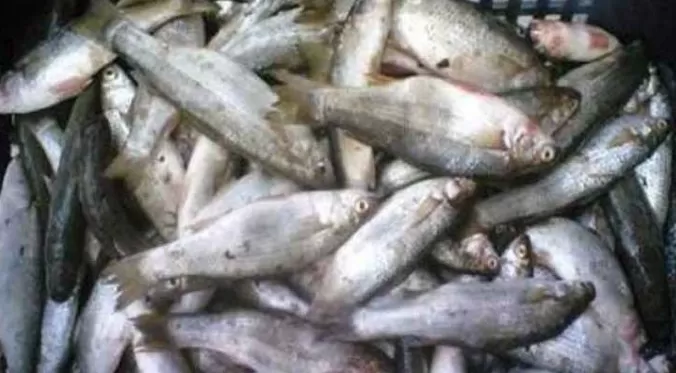 مدار الساعة,أخبار الأردن,اخبار الاردن