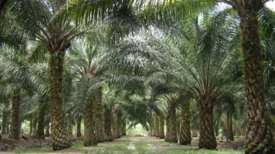 مدار الساعة,أخبار الأردن,اخبار الاردن