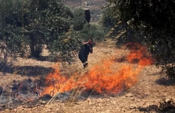 مدار الساعة,أخبار الأردن,اخبار الاردن,الدفاع المدني