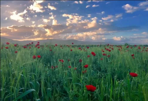 مدار الساعة,أخبار الأردن,اخبار الاردن,درجات الحرارة العظمى والصغرى,درجات الحرارة,البحر الميت