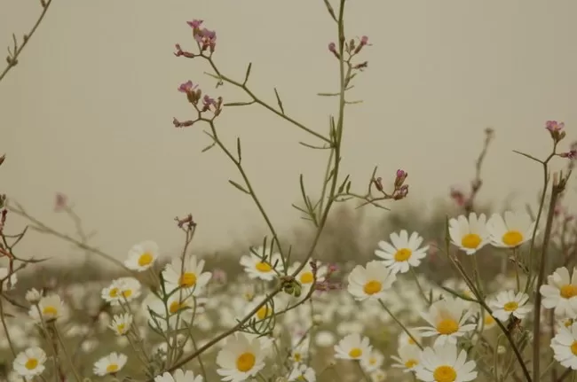 مدار الساعة,الطقس في الأردن اليوم,طقس الأردن,طقس العرب,طقس العرب الاردن,درجات الحرارة