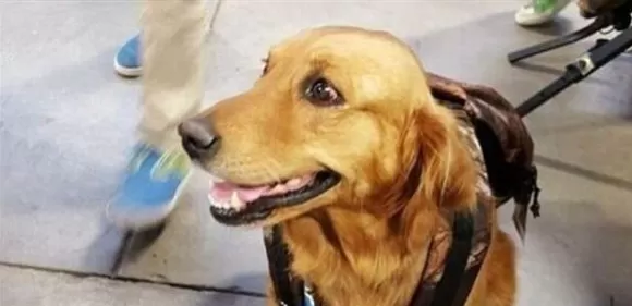 مدار الساعة,أخبار خفيفة ومنوعة