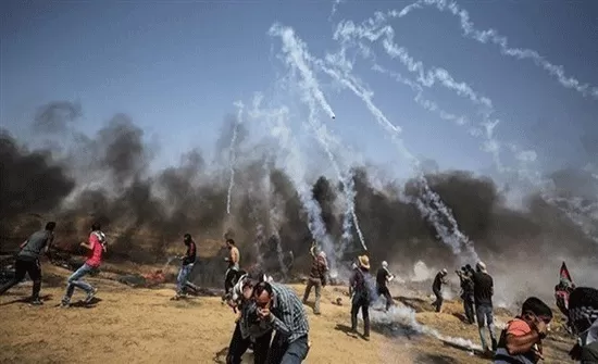 مدار الساعة,أخبار عربية ودولية,وزارة الصحة,قطاع غزة