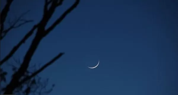 مدار الساعة,أخبار خفيفة ومنوعة