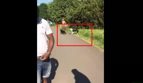 مدار الساعة,Video,فيديو,أخبار عربية ودولية