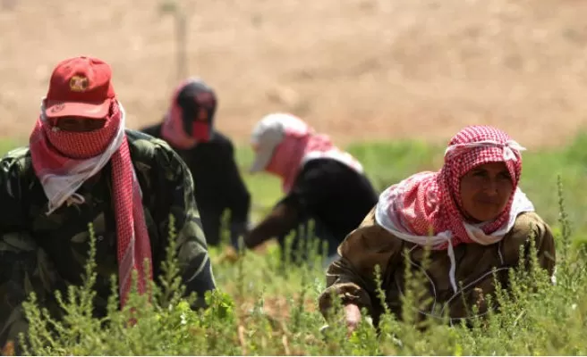 مدار الساعة,أخبار الأردن,اخبار الاردن,الاتحاد الأوروبي,وزارة العمل,الضمان الاجتماعي,مديرية شؤون اللاجئين السوريين