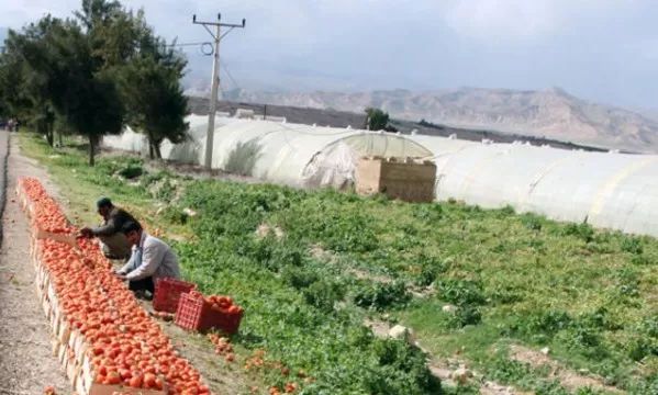 مدار الساعة,أخبار اقتصادية