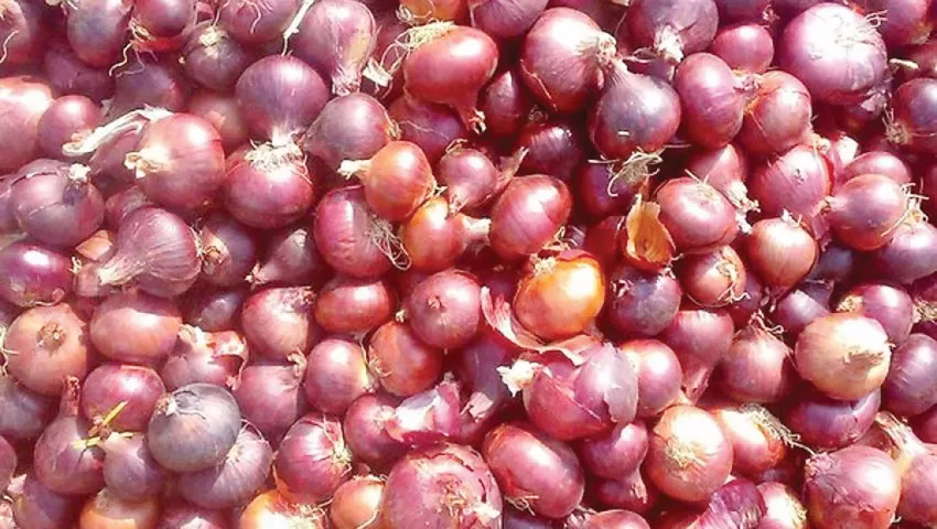 مدار الساعة,أخبار الأردن,اخبار الاردن,وزارة الزراعة