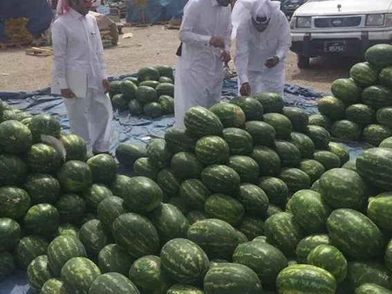 مدار الساعة,أخبار اقتصادية,مواقع التواصل الاجتماعي