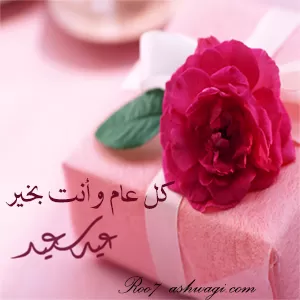 مدار الساعة,أخبار المجتمع الأردني