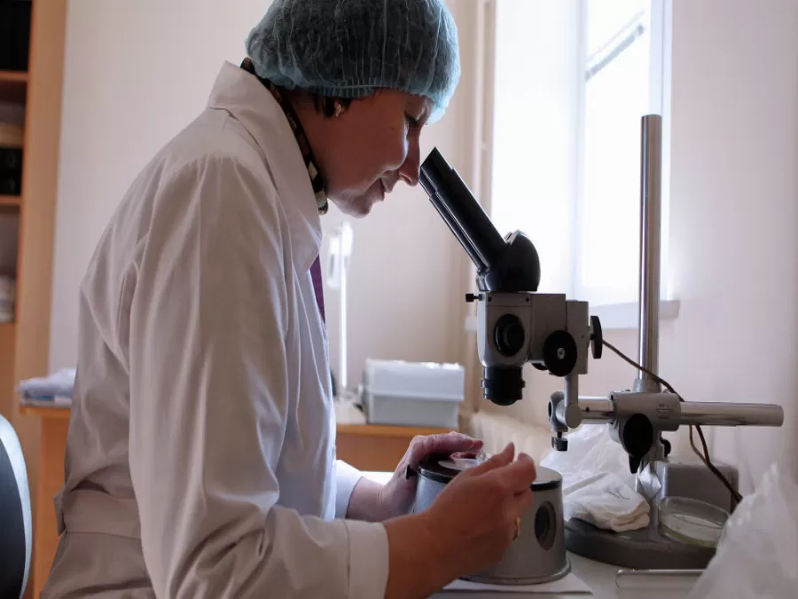 مدار الساعة,أخبار خفيفة ومنوعة