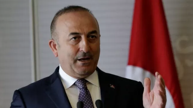 مدار الساعة,أخبار عربية ودولية,وزارة الخارجية,قطاع غزة