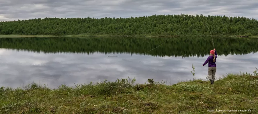 مدار الساعة,أخبار خفيفة ومنوعة